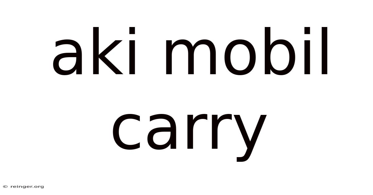 Aki Mobil Carry