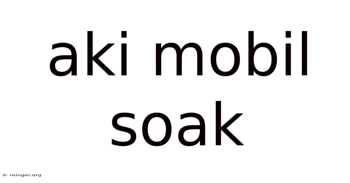 Aki Mobil Soak