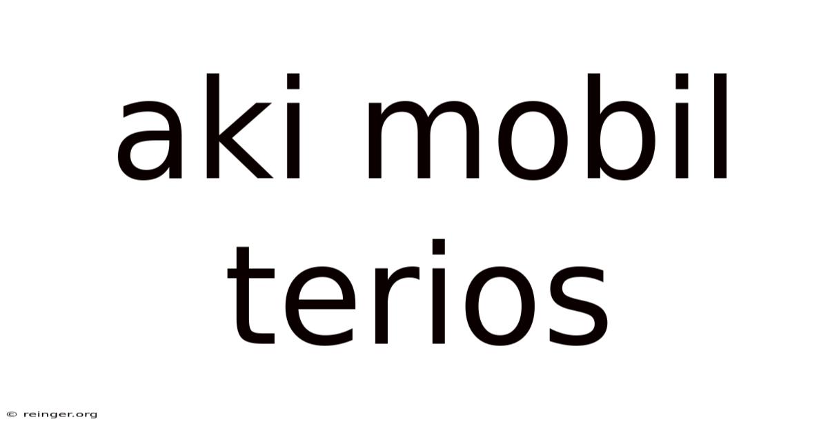 Aki Mobil Terios