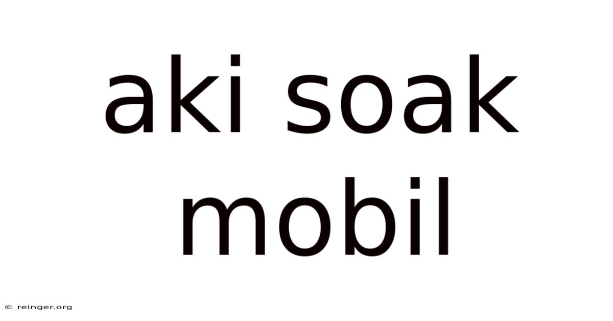 Aki Soak Mobil