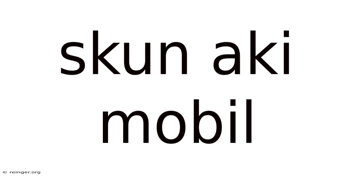 Skun Aki Mobil